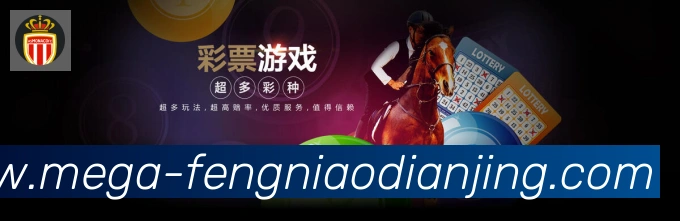 未来规划